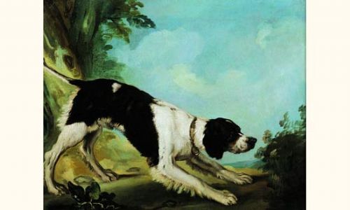 un-chien-a-l-arret