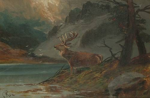 a-stag-by-the-edge-of-a-lake