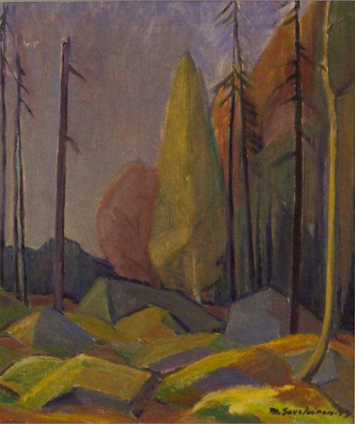 metsakuva