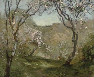 spring-blossom