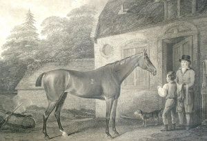 eleanor-property-of-sir-charles-bunbury-bart
