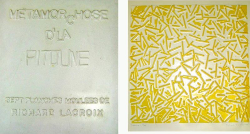 metamorchose-d-la-pitoune
