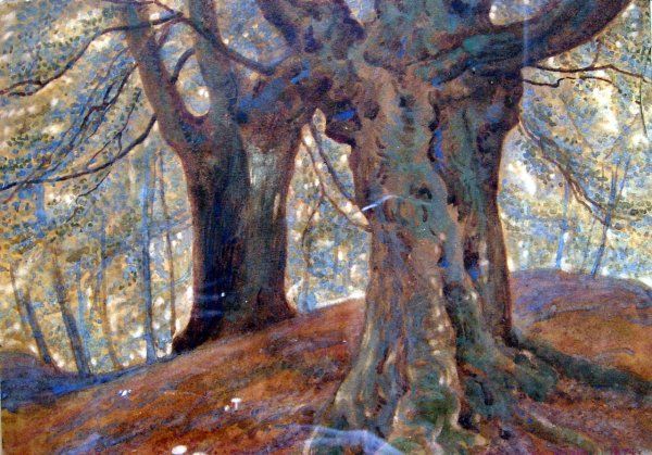 woodland