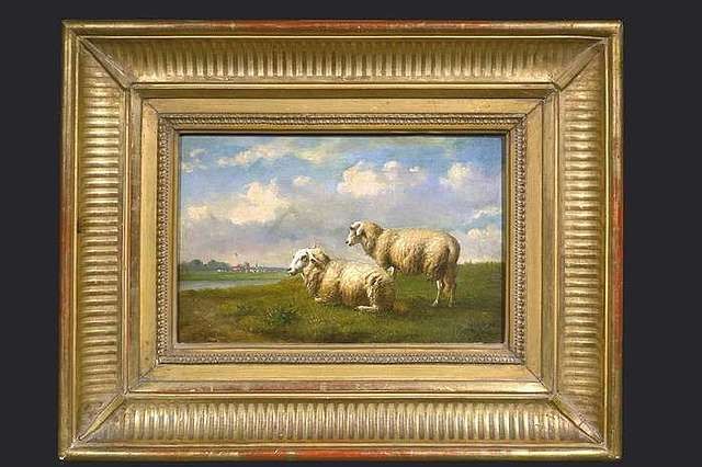 schafe-in-weiter-landschaft