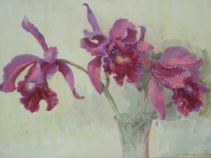 orchids