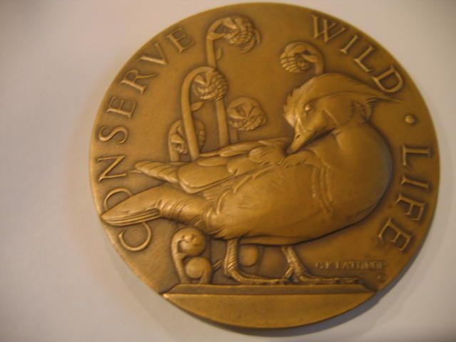 antelope-wood-duck-1938