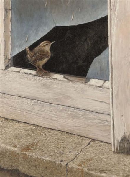 an-inquisitive-wren