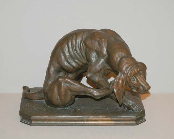 a-bloodhound-scratching-his-ear