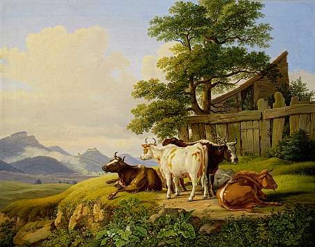 kuhe-vor-bretterverschlag-amhorizont-hohenburg