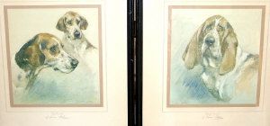 fox-hounds-and-basset-hound