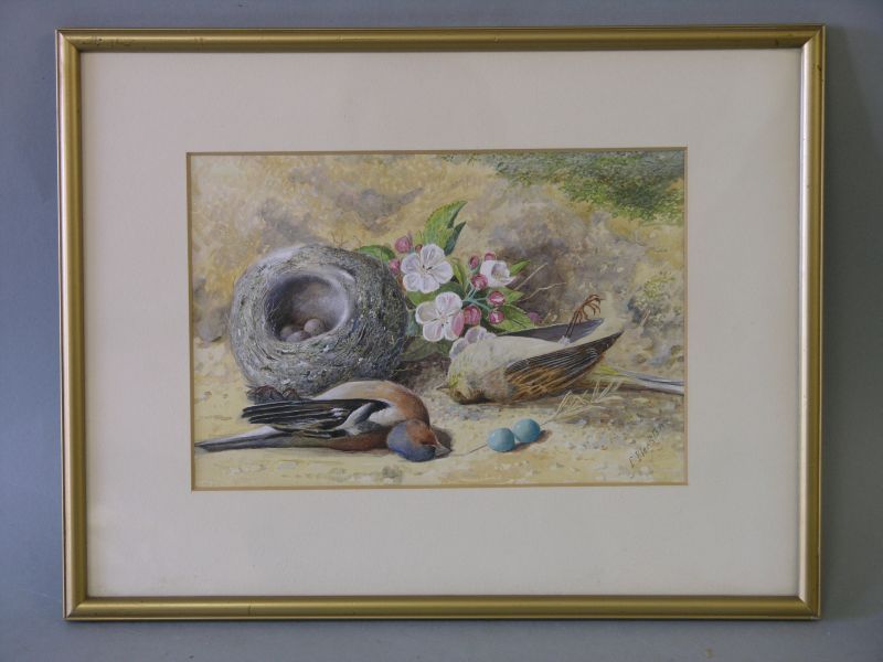 bird-s-nest-with-dead-finches