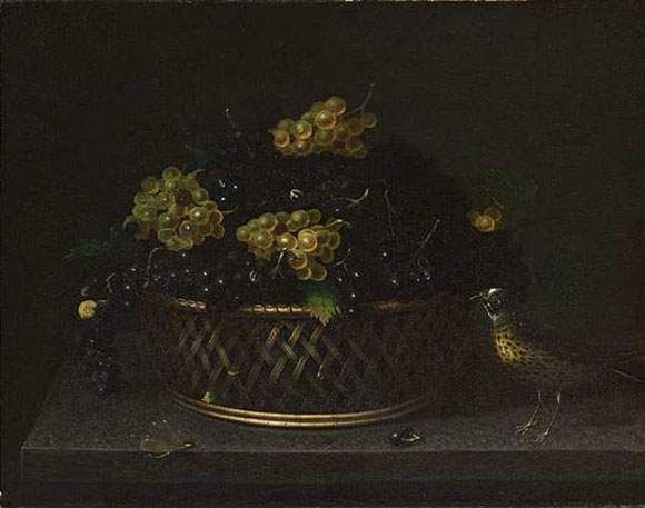 grive-pres-d-un-panier-de-raisins-avec-escargot-mouche-et-libellule
