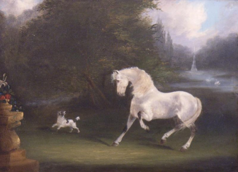 a-grey-horse-and-dog-in-a-parkland-and-a-chestnut-hunter-and-dog-in-a-meadow