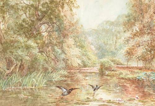 ducks-on-a-pond