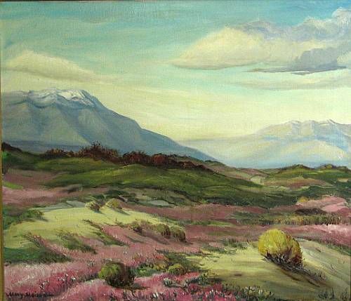 desert-verbena