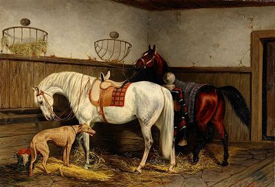 stallinterior