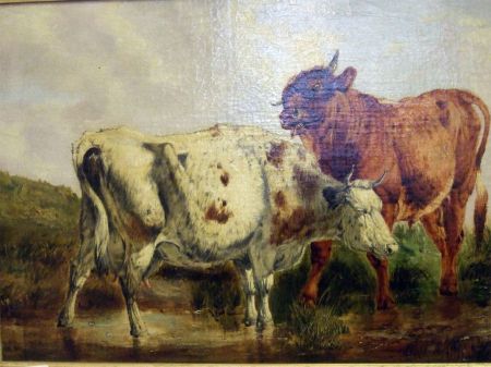 two-cows-by-a-pool