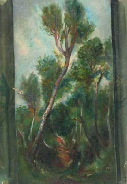 paisaje