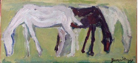 les-chevaux