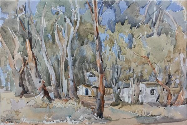 gum-trees-and-outhouses-at-irene-near-pretoria