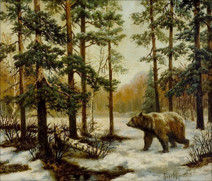 a-bear-in-the-forest