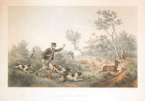 la-chasse-au-chevreuil