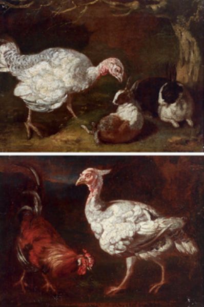 a-turkey-and-two-rabbits