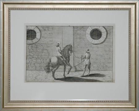 dressage-study