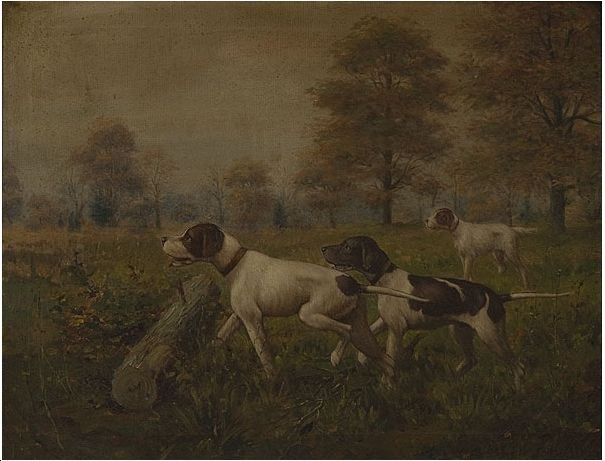 hunting-dogs