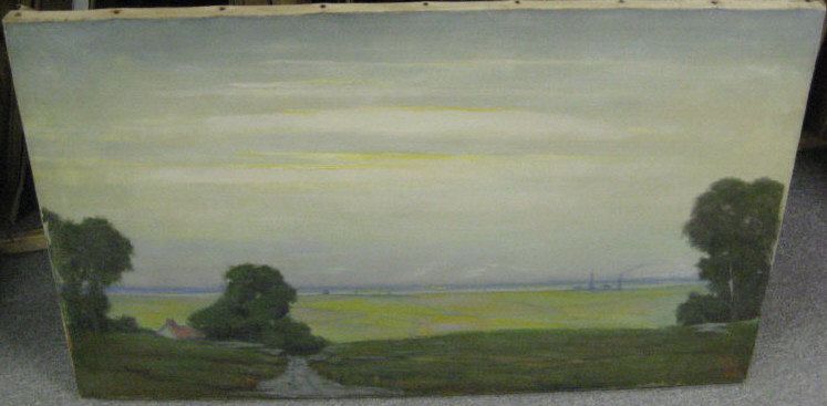 expansive-landscape-with-smoke-trees