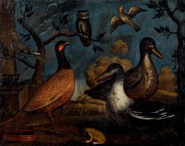 scena-con-uccelli