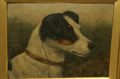jack-russell