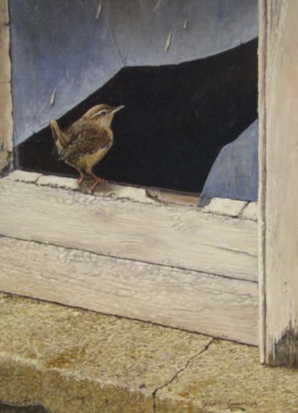 an-inquisitive-wren