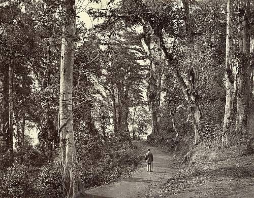 five-views-in-darjeeling-and-shillong-and-two-others-1870s-1880s
