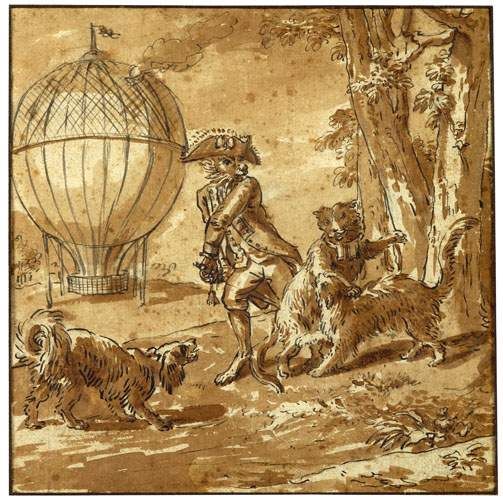 entre-chiens-et-chats-devant-un-ballon