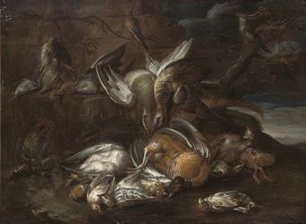 dead-game-including-pheasants-mallard-and-grouse-in-a-clearing