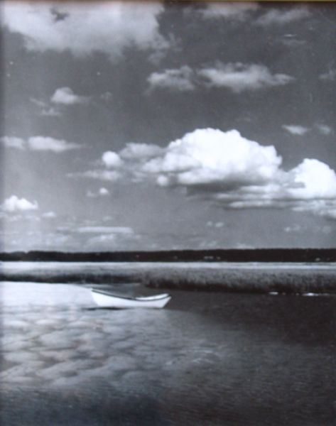 untitled-beached-dory