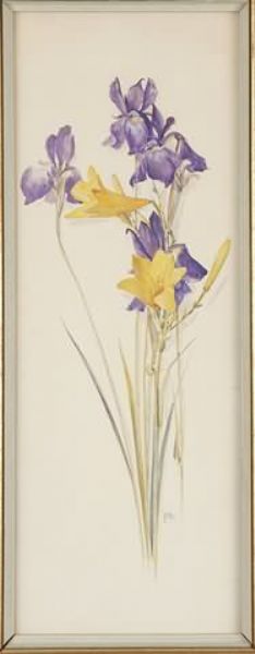 iris-and-lemon-lily