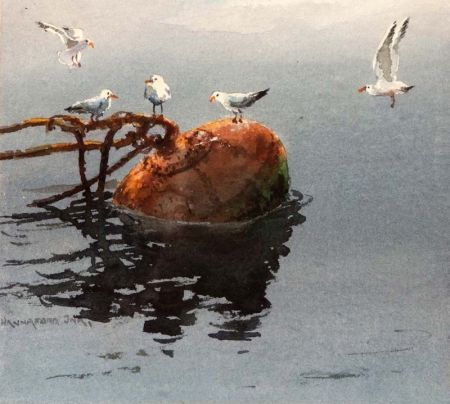 seagulls-on-a-bouy