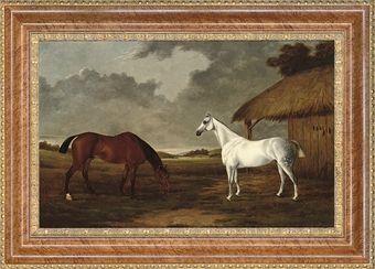 a-bay-and-a-grey-horse-grazing-beside-a-stable