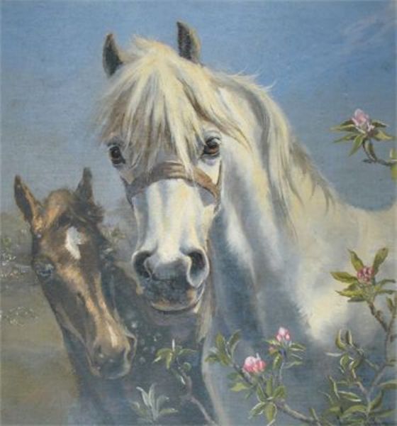 a-mare-and-foal
