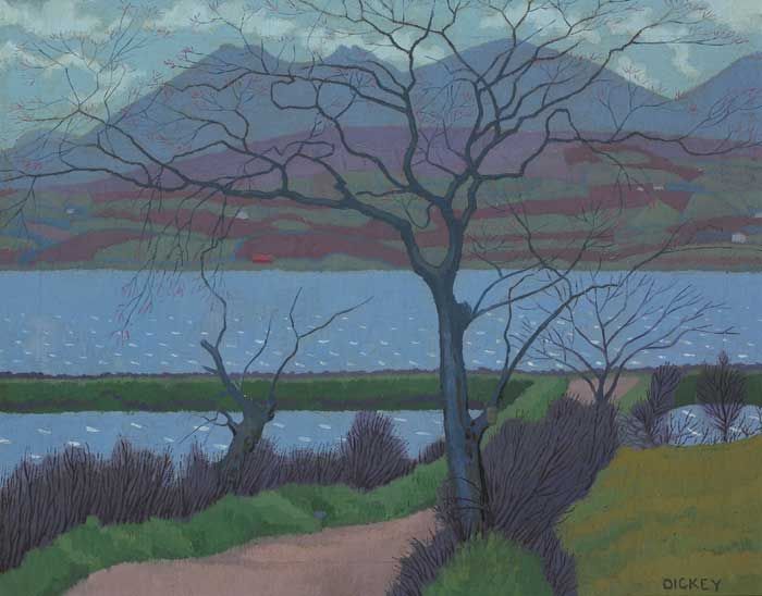 loughislandreavy-county-down-1921
