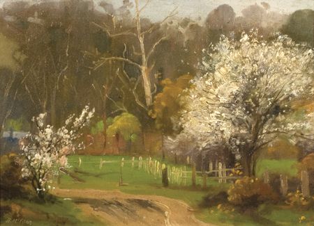 the-cherry-plum-in-bloom