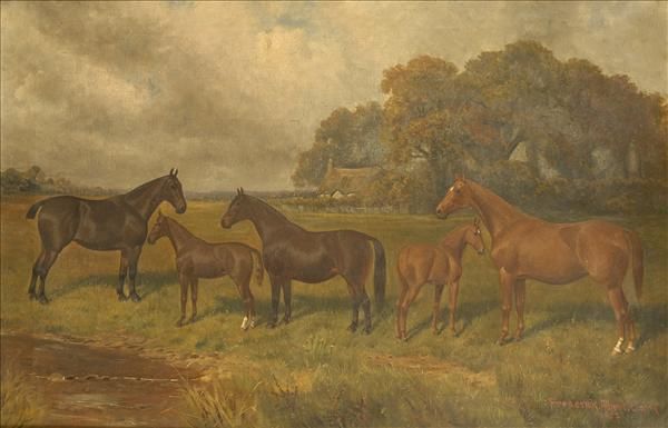 hunters-and-foals-in-a-summer-landscape