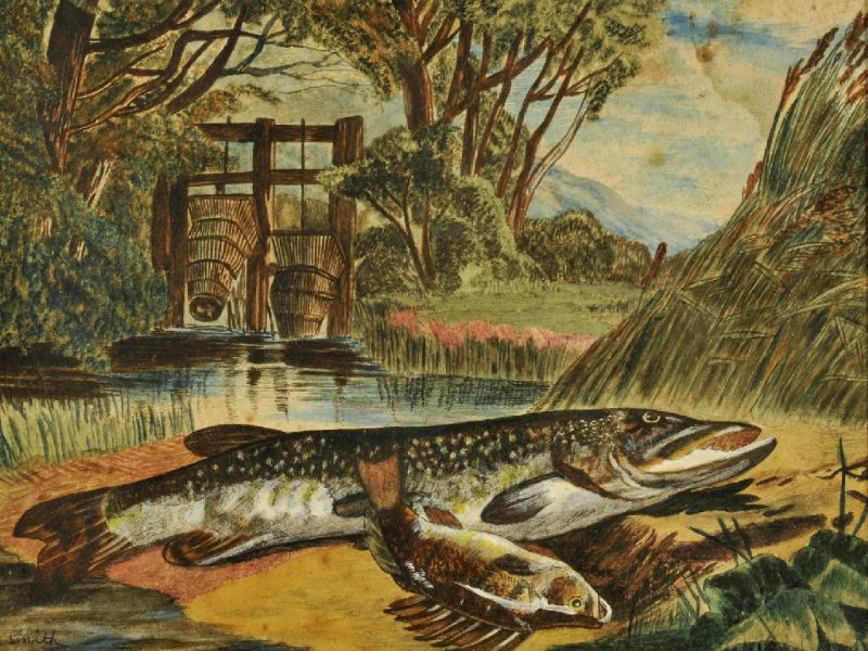 fish-on-a-river-bank
