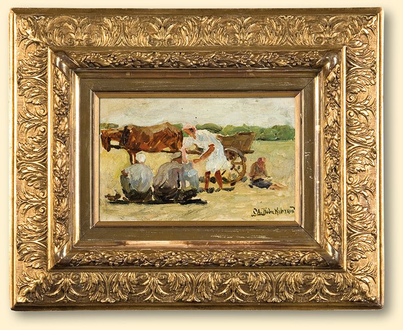 field-scene
