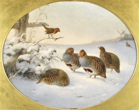 grey-partridge-in-the-snow