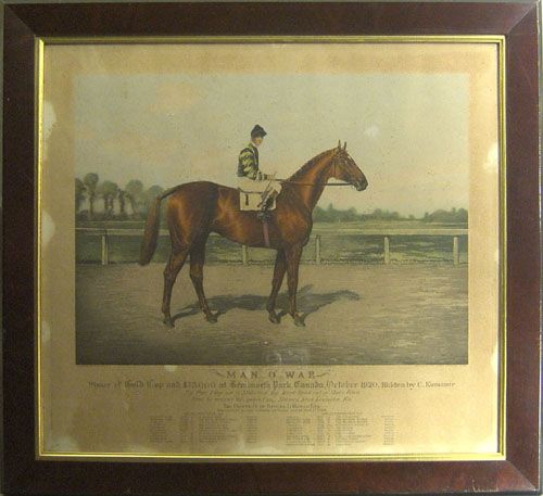 horse-portrait