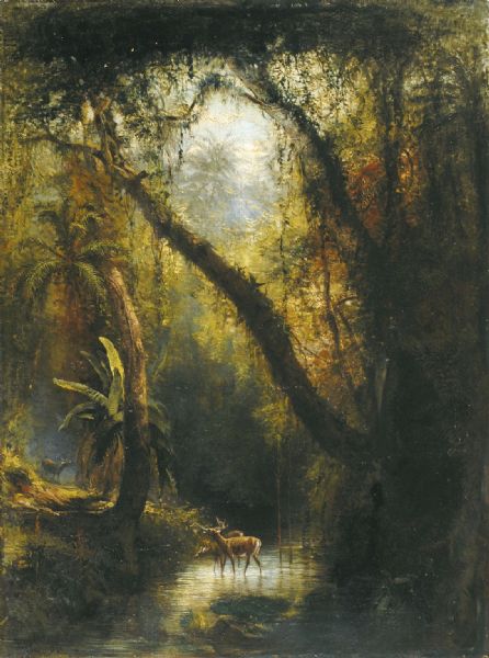boszicht-te-cuba-1870