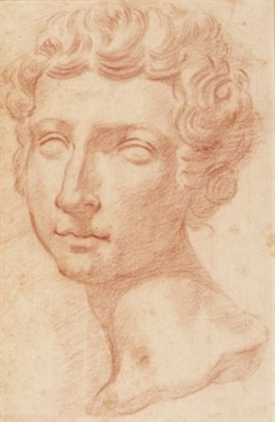 head-of-a-young-man-after-the-antique